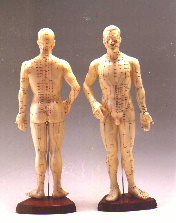 シニア症状別健康体操１